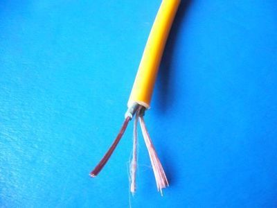 線纜小，安全大 防爆插座電線電纜“國標(biāo)2X1平方”為何值得信賴？